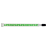 Fisnar QuantX™ FMCH430-18LL Luer Lock Mix Nozzle Green 0.4 in ID x 18 Element -- FMCH430-18LL - Image