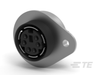DIN Connectors -- 750131-2 - Image