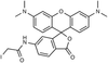 6-Iodoacetamidotetramethylrhodamine, 90% - 11161 - Medical Isotopes, Inc.