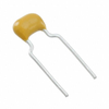 Capacitors - Ceramic Capacitors -- 1029198-C323C104K5R5TA