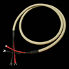 Neutral Reference Speaker - Image
