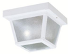 Exterior -Ceiling Mount - 239682 - Light Center (The)