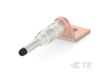 Automotive Terminals -- 2402050-2