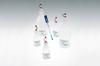 SKYLITE - 238937 - Hamilton Company