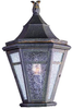 Exterior -Wall Mt./Flush - 22321 - Light Center (The)