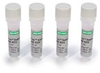 iTaq Supermix With ROX - 172-5854 - Bio-Rad Laboratories, Inc.