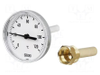 Dial Thermometers -- 2051275 - Image