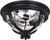 Exterior -Ceiling Mount - 329002 - Light Center (The)