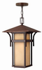 Exterior -Hanging - 99518 - Light Center (The)