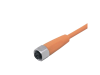 QD Cable/Cord Set -  - Radwell International
