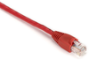 20FT Red 25-Pack CAT5e 350MHz Patch Cable UTP CM - EVNSL83-0020-25PAK - Black Box