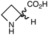 D,L-Azetidine-2-Carboxylic Acid - 6985 - Medical Isotopes, Inc.