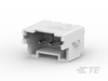 PCB Headers & Receptacles - 1969730-3 - TE Connectivity