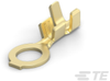 Ring Terminals - 626235-1 - TE Connectivity
