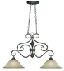 24942-BA Island/Pool Table-2 Light Bar - 445435 - Capital Lighting, Inc.