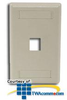 Hubbell IFP Single Gang Wall Plate - 1 Port - IFP11 - TelephoneStuff.com