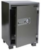 Fireproof Safes -- DS100 - Image