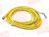 QD Cable/Cord Set - 589288 - Radwell International