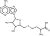 S-Adenosyl-L-Homocysteine - 17037 - Medical Isotopes, Inc.
