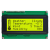 LCD, OLED Character and Numeric - LCD2041-ND - DigiKey