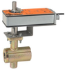 Ball Valve -- B2100VB-024+NFB24-X1 - Image