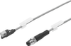 Proximity sensor -- SMT-8G-NS-24V-E-0,3Q-M8D - Image