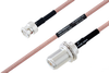 MIL-DTL-17 BNC Male to N Female Bulkhead Cable 48 Inch Length Using M17/60-RG142 Coax - PE3M0004-48 - Pasternack