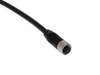 BALF Sensor Cordsets - BCC0LPW - Galco Industrial Electronics
