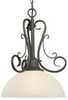 M258163 Pendants-Glass Down - 753221 - Capital Lighting, Inc.