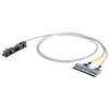 Cable Assemblies - 2946-706-2300/304-300-ND - DigiKey
