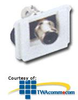 Siemon SM Bezel with 1 RCA Connector - SMC-1P-RC-02 - TelephoneStuff.com