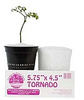 TORNADO / 6