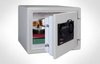Combination FIRE-SAFE&reg; - SB0100 - Sentry Group
