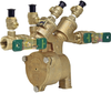 Lead Free* Reduced Pressure Zone Assemblies, Bronze - LF919 - Watts