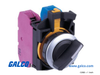 IDEC Selector Switches Non-Illuminated - CW4S-2E12 - Galco Industrial Electronics