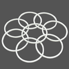 ptfe lantern ring - Image