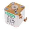 Electrical, Specialty Fuses - 5666-PSR030FS0100Z-ND - DigiKey