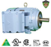 Explosion Proof Motors-C-Face, C-Face-Inverter Duty Motor -- IXHHI7.5-18-213TC