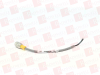QD Cable/Cord Set - 3556341 - Radwell International