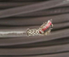 Control Cable - 8282452 - RS Components, Ltd.
