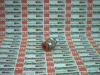 Hydraulic Fitting - 22379210 - Radwell International
