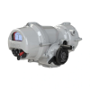 Electric Intelligent Actuators, IQT3F - Full-Turn