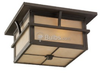 Two-Light Outdoor Ceiling Light Fixture - 78880-51 - bulbs.com