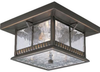 P5517-20 Exterior -Ceiling Mount - 709582 - Capital Lighting, Inc.