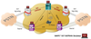 MAPS SIGTRAN (SS7over IP) Protocol Emulator -- PKS130 - Image