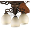 Meeting Street Collection Ceiling Fan Light Kit - P2640-102 - bulbs.com