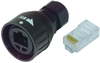 Cat5E Rj45 Modular Plug, 8Way, 1Port; Modular Connector Type L-Com - 90M2212 - Newark, An Avnet Company