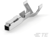 Automotive Terminals - 173716-1 - TE Connectivity