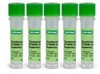 SsoAdvanced&trade; SYBR<sup>&reg;</sup> Green Supermix - 172-5261 - Bio-Rad Laboratories, Inc.