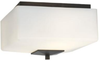 F602570NV Flush Mounts-Other - 673163 - Capital Lighting, Inc.